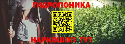 СК Волгодонск