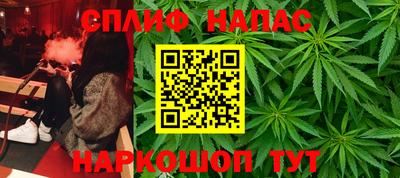 СК Волгодонск