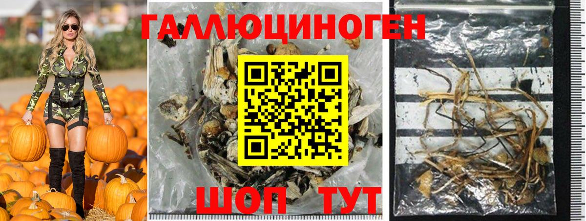 Псилоцибиновые грибы ЛСД Ревда